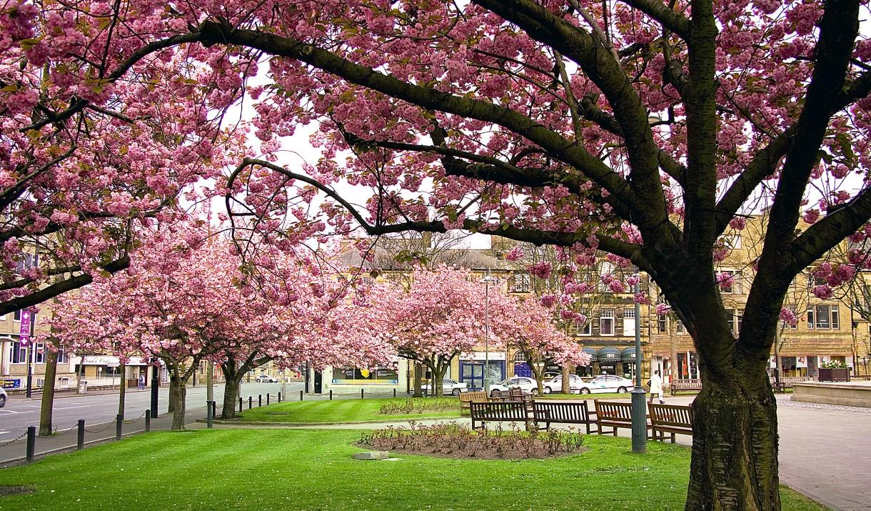 Keighley appliance repair hero image